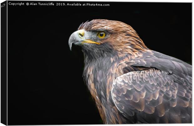 Golden Eagle Canvas Print by Alan Tunnicliffe