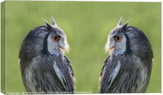 Mirror image Canvas Print by Alan Tunnicliffe