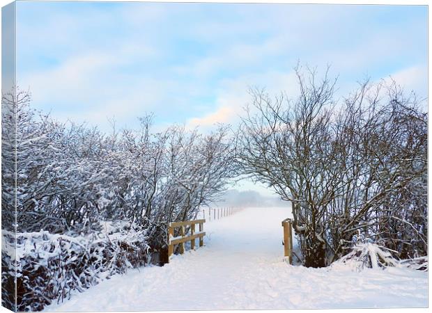 Archway snowed in field Canvas Print by Susan Sanger