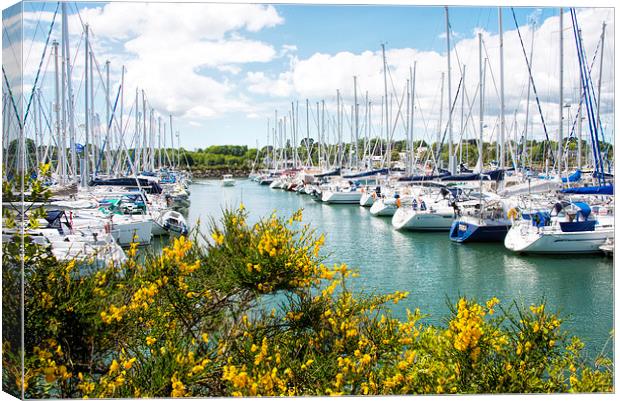 Marina in Brittany France Canvas Print by Susan Sanger