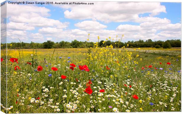 Kent countryside meadow Canvas Print by Susan Sanger