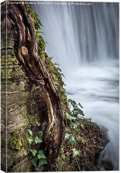 The Stepped Waterfall, Llanrwst Canvas Print by Christine Smart