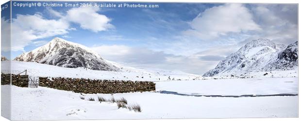  A Winter Wonderland Canvas Print by Christine Smart