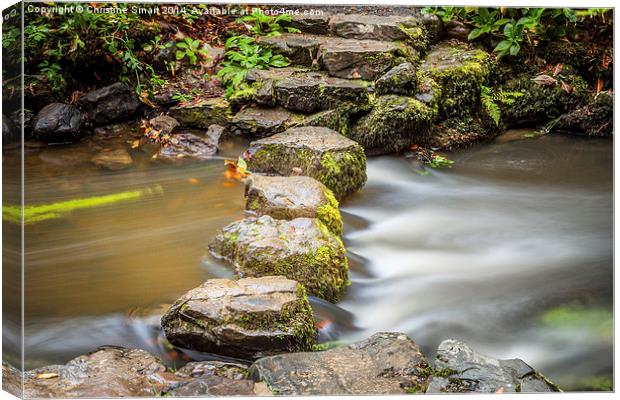 Across the River - Stepping Stones Canvas Print by Christine Smart