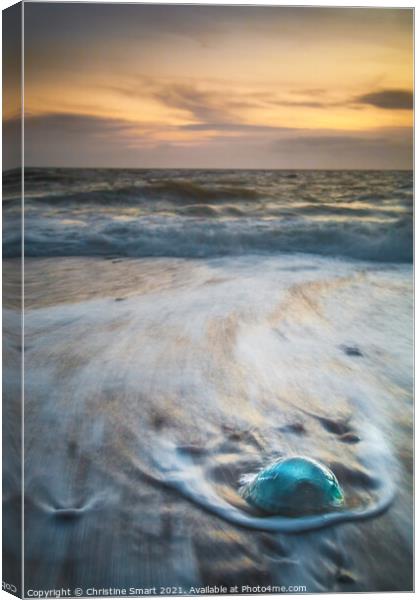 Jellyfish on Llanddwyn Beach - Sunset Seascape Anglesey North Wales Coast Canvas Print by Christine Smart