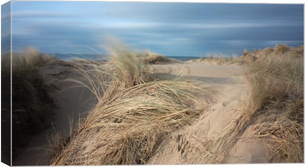 Sand Dunes and Salty Air Canvas Print by Rich Berry