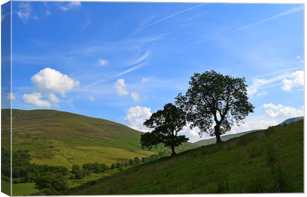 Upper Tarrell Valley View Canvas Print by Dai Parker