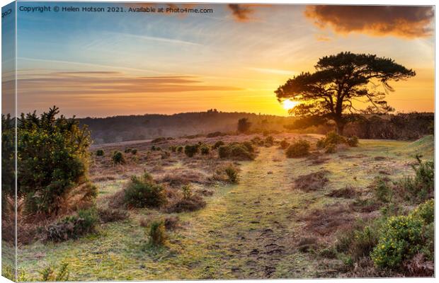 Dramatic sunset over the New Forest National Park Canvas Print by Helen Hotson