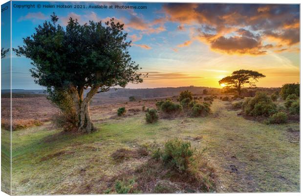 Beautiful sunset in the New Forest at Bratley View Canvas Print by Helen Hotson