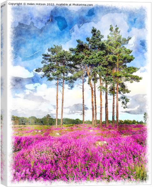 Summer Heather and Pine Trees Canvas Print by Helen Hotson