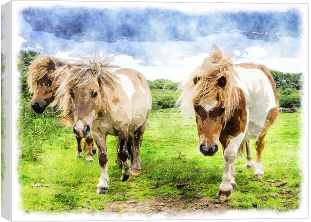 Poinies on Bodmin Moor Canvas Print by Helen Hotson