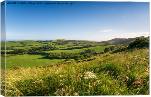 Summer in the Dorset countryside Canvas Print by Helen Hotson