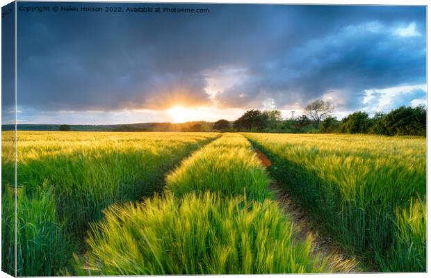 Dramatic Sunset over Barley Fields Canvas Print by Helen Hotson