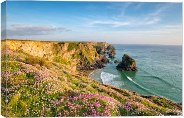 Cornish Cliffs in Summer Canvas Print by Helen Hotson