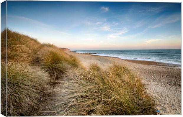 Sand Dunes at Hengistbury Head Canvas Print by Helen Hotson