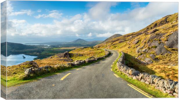 Looking north along the Healy Pass  Canvas Print by Helen Hotson
