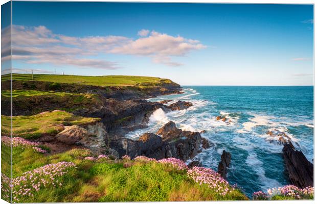 Cliffs at Galley Head in Ireland Canvas Print by Helen Hotson