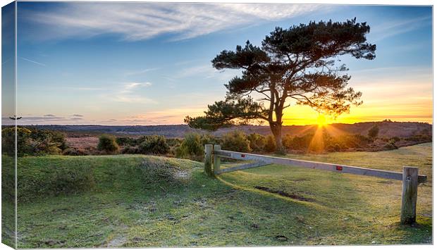 Sunset at Bratley View in the New Forest Canvas Print by Helen Hotson