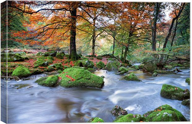 Forest River Canvas Print by Helen Hotson