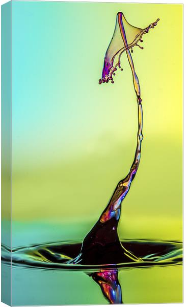water drop Canvas Print by Olavs Silis