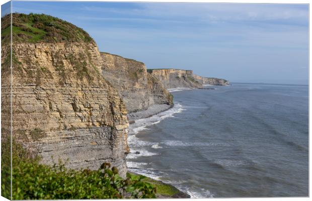 Dunraven Bay Cliffs  Canvas Print by Bahadir Yeniceri