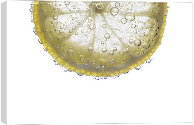 Lemon Slice Canvas Print by Bahadir Yeniceri