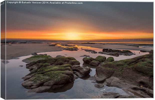  New Day Canvas Print by Bahadir Yeniceri