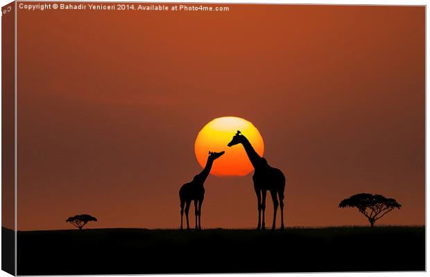  African Sunset Canvas Print by Bahadir Yeniceri