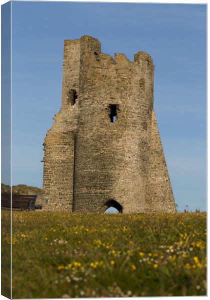 Aberystwyth Castle Canvas Print by Bahadir Yeniceri