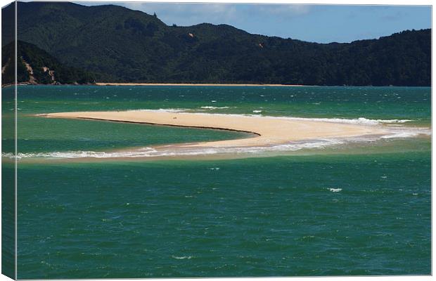 Sand Spit New Zealand Canvas Print by Mark Hughes
