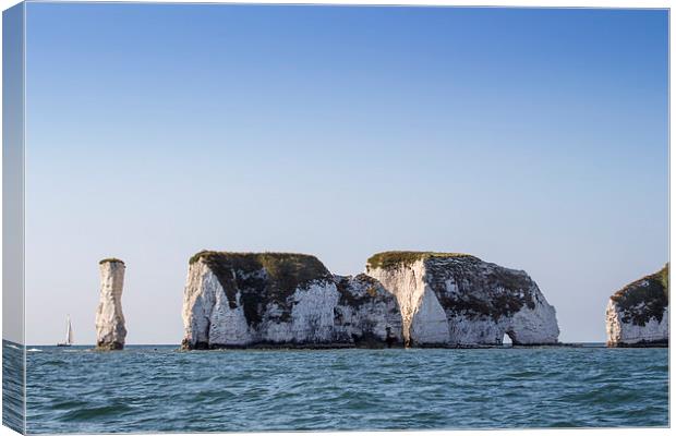 Old Harry Canvas Print by Colin Porteous