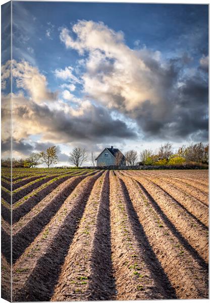 Ploughed Field with Little House in Sweden Canvas Print by Antony McAulay