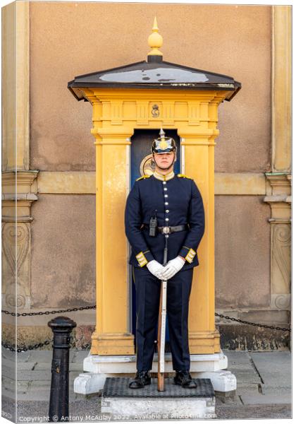 Stockholms Royal Palace Sentry Guard Canvas Print by Antony McAulay