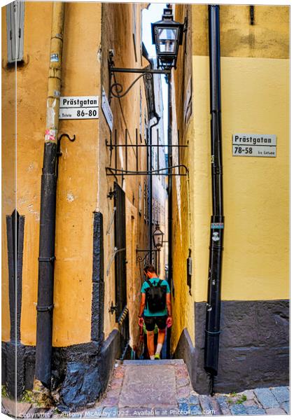 Stockholms Narrowist Street Canvas Print by Antony McAulay