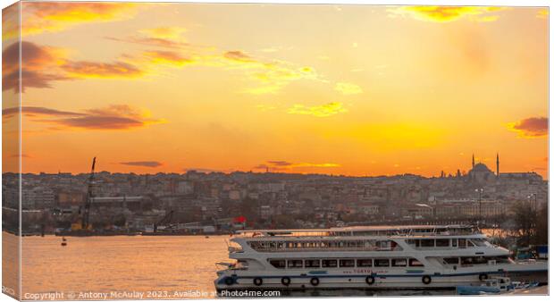 Istanbul Bosphorus Tour Boat Canvas Print by Antony McAulay