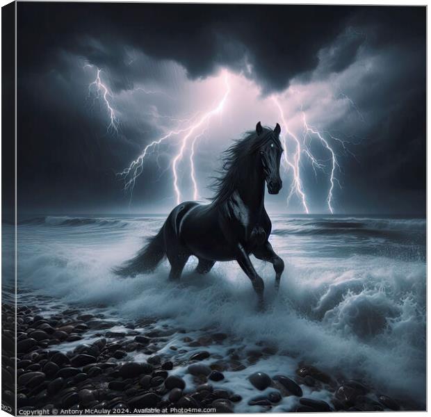 Black Stallion in a Storm Canvas Print by Antony McAulay