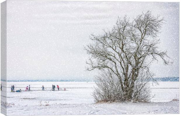 Winter Wonderland Frozen Lake Canvas Print by Antony McAulay