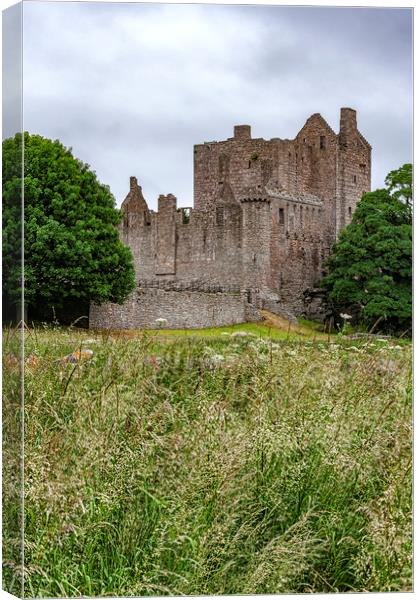 Craigmillar Castle Ruins Canvas Print by Antony McAulay
