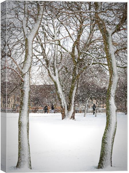 Helsingborg Stadsparken in Winter Canvas Print by Antony McAulay