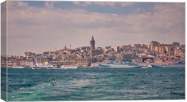 Istanbul Galata Region Panorama Canvas Print by Antony McAulay