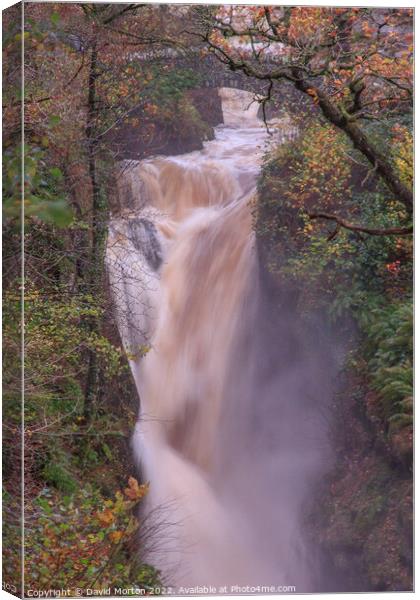 Aira Force in Spate Canvas Print by David Morton