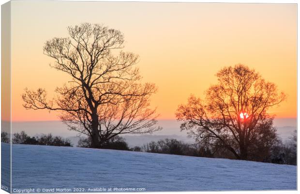 Sunrise and Trees on a Frosty Morning Canvas Print by David Morton