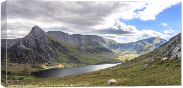 Tryfan and the Glyders above Llyn Ogwen Canvas Print by David Morton