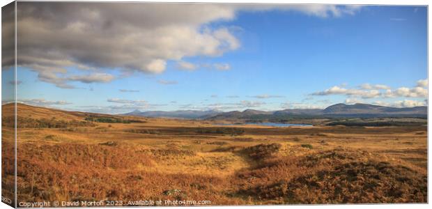 Rannoch Moor in the autumn. Canvas Print by David Morton