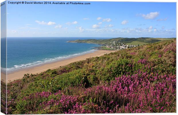 Heather on Woolacombe Down Canvas Print by David Morton
