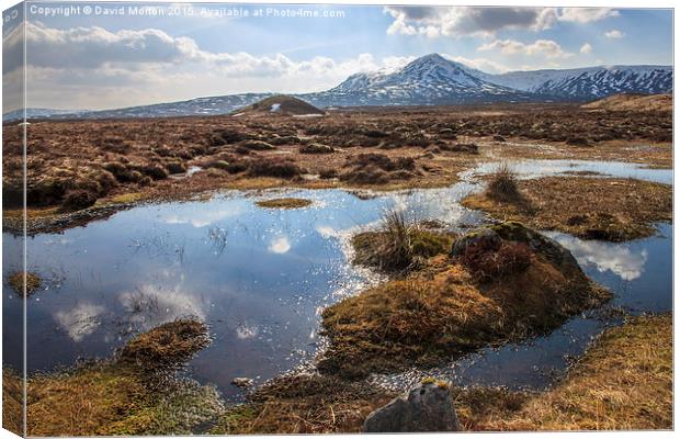  Leum Uillem from Corrour Station on Rannoch Moor Canvas Print by David Morton