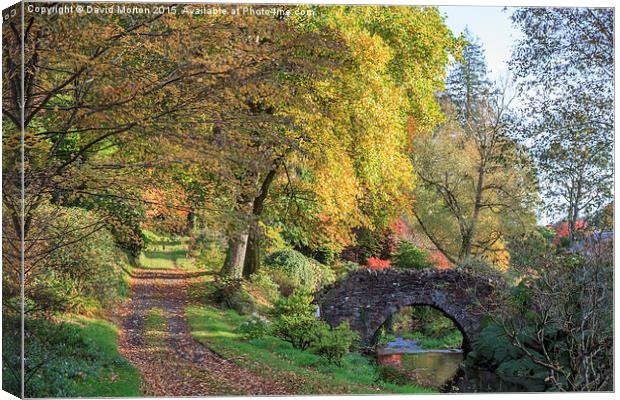  Autumn at Castle Hill Gardens Canvas Print by David Morton
