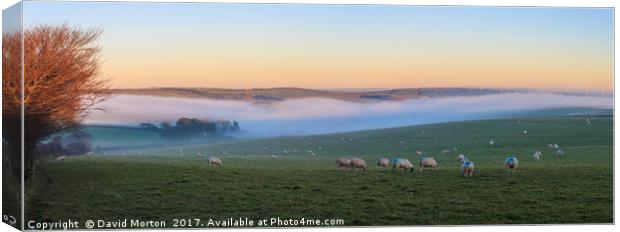 Mist in the Valley Canvas Print by David Morton