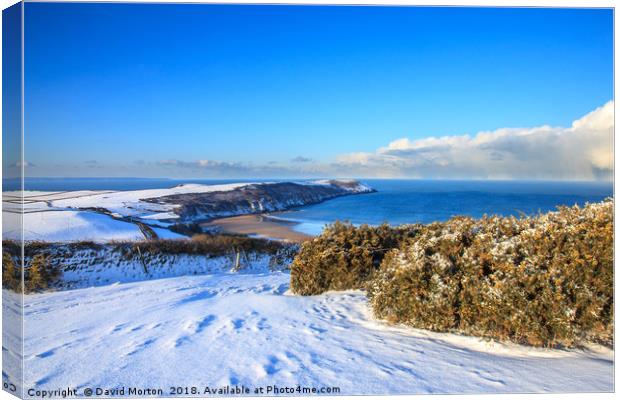 Baggy Point and Putsborough Beach from Pickwell Canvas Print by David Morton