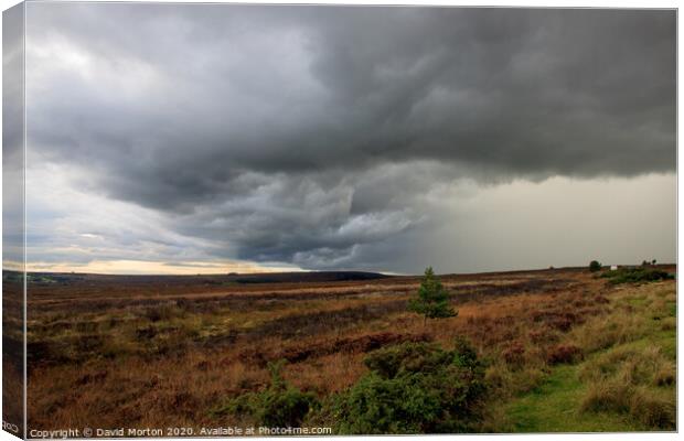 Dark Clouds over the North York Moors Canvas Print by David Morton